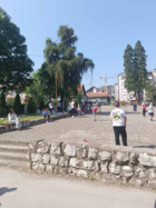 Slika